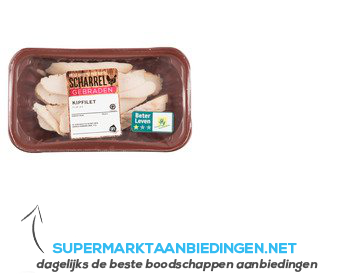 AH Gebraden scharrel kipfilet plak naturel