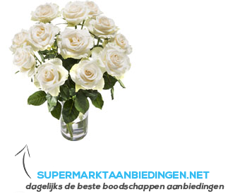 AH Witte rozen aanbieding