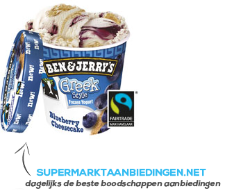 Ben & Jerry's Greek frozen yoghurt blueberry aanbieding