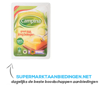 Campina Kaas jong belegen 48 stuk aanbieding