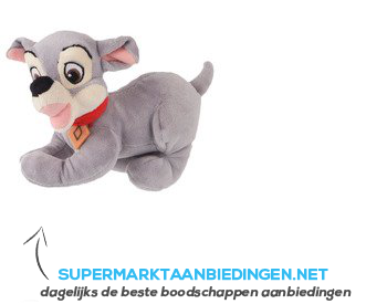 Disney Dierenvriendjes aanbieding