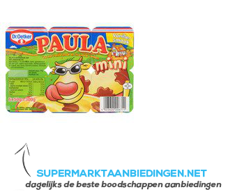 Dr. Oetker Paula mini vanille met choco vlekken aanbieding