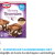 Dr. Oetker Verwen brownies duo