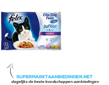 Felix Elke dag feest junior rund/ kip aanbieding