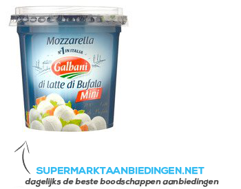 Galbani Mozzarella di latte di bufala mini