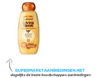 Beringstraat engel Massage Garnier Loving blends honing goud shampoo aanbieding | Supermarkt  Aanbiedingen