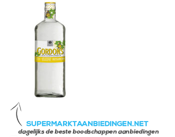 Gordon's Elderflower gin aanbieding