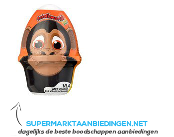 Kid’s world Vla chocolade-vanille verrassing