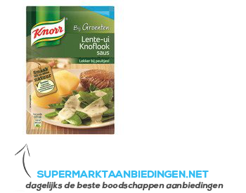 Knorr Mix lente ui knoflooksaus aanbieding