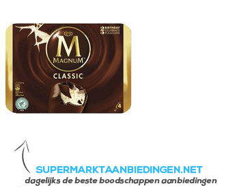 Magnum IJs classic aanbieding