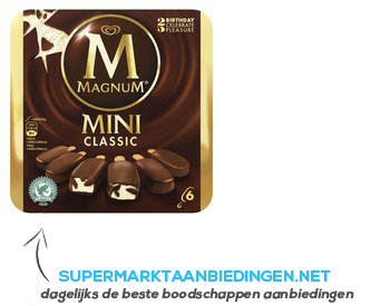 Magnum IJs mini classic aanbieding