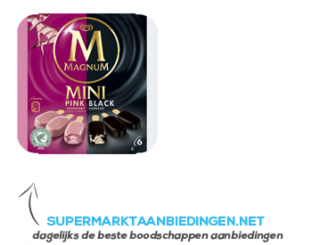 Magnum IJs mini pink & black aanbieding