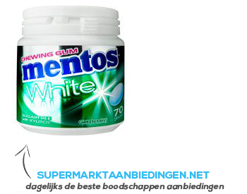 Mentos Gum bottle white greenmint aanbieding
