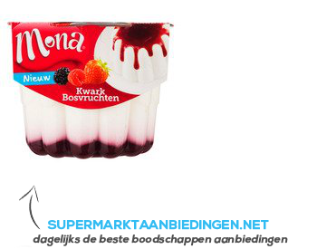 Mona Kwarkpudding met bosvruchtensaus