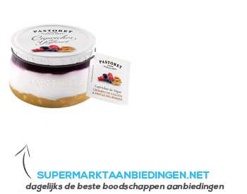 Pastoret Caprichos de yoghourt mango-bosvruchten aanbieding