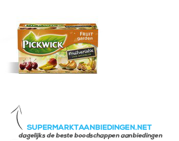 Pickwick Fruitvariatie oranje 1-kops