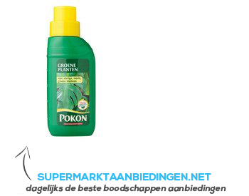 Pokon Huis groene plant aanbieding