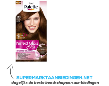 Poly Palette Gloss 566 subliem kastanje aanbieding