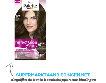 Poly Palette Perfect gloss 500 sweet mocca aanbieding