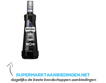 Puschkin Black sun aanbieding