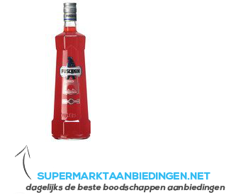 Puschkin Red orange aanbieding