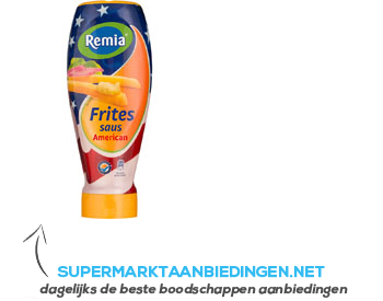 Remia American fritessaus topdown aanbieding