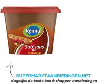 Remia Satésaus hot kant-en-klaar aanbieding