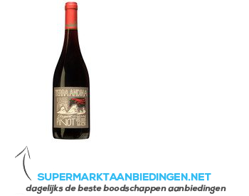 Terra Andina Pinot Noir aanbieding