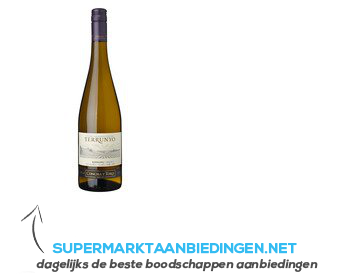 Terrunyo Riesling Costa Los Boldos aanbieding