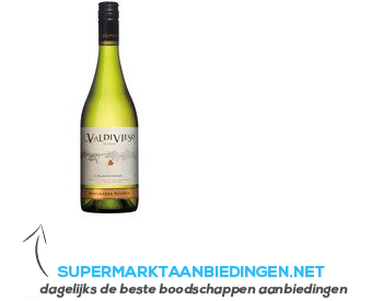 Valdivieso Chardonnay winemaker Reserva aanbieding